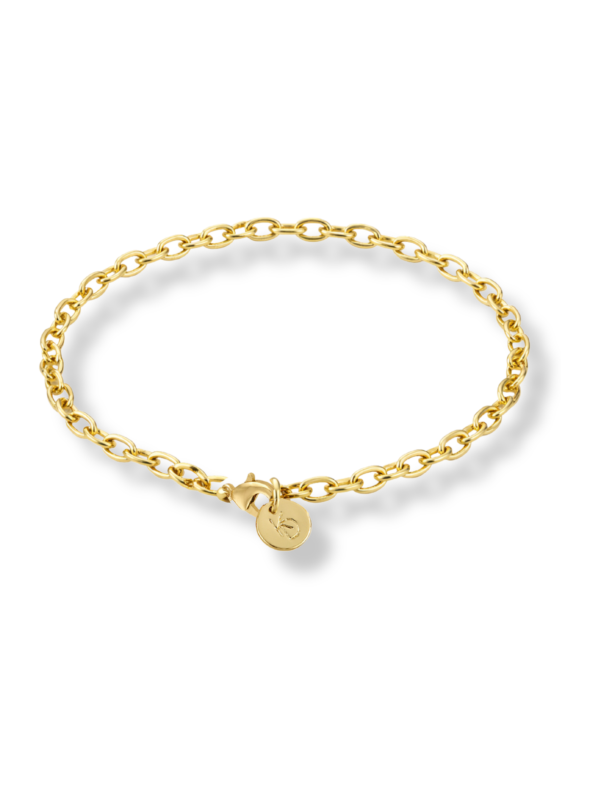 Charm Bracelet Link Chain