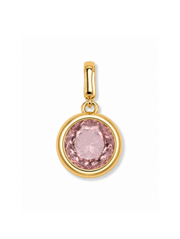 Bezel Birthstone Clip Charm