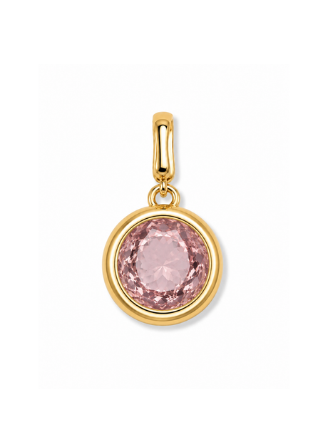 Bezel Birthstone Clip Charm
