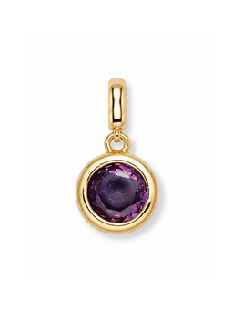 Bezel Birthstone Clip Charm