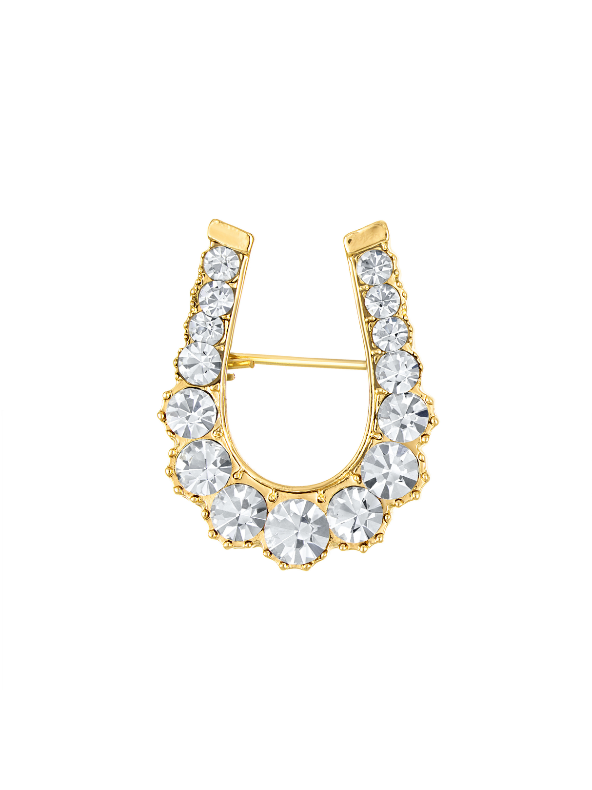 Filly Horseshoe Brooch