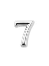 Silver Numerical Slide