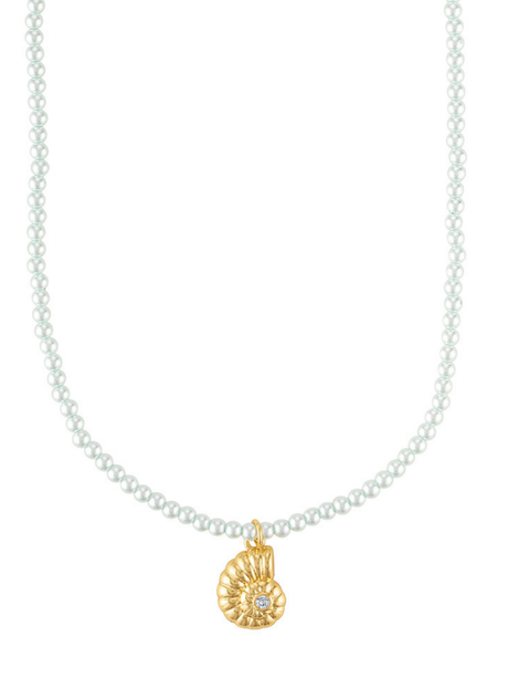 The Tilly Nautilus Necklace by Kinsey Designs features a delicate gold seashell pendant with a tiny clear CZ stone at the center, inspired by classic pearl necklaces.
